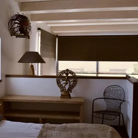 Senio 3 Apartment *